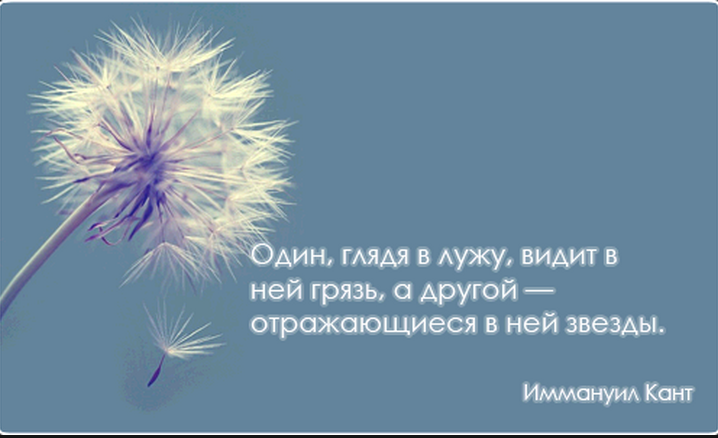 Увидеть грязь. Один увидел грязь другой увидел звезды. Один видит лужу другой звезды. Один в луже видит грязь другой. Один видит.